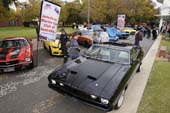 AMCCA Muscle Cars on the Murray 2019 (172) (800x533)